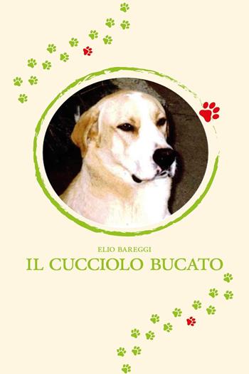 Il cucciolo bucato - Elio Bareggi - Libro Youcanprint 2024 | Libraccio.it