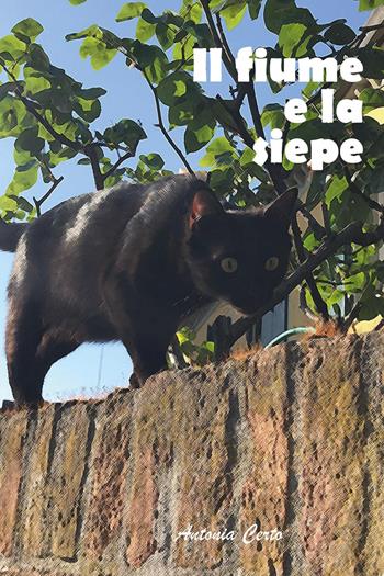 Il iume e la siepe - Antonia Certo - Libro Youcanprint 2024 | Libraccio.it