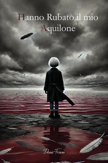 Hanno rubato il mio aquilone - Denis Frison - Libro Youcanprint 2024 | Libraccio.it