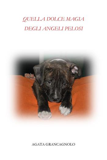 Quella dolce magia degli angeli pelosi - Agata Grancagnolo - Libro Youcanprint 2024 | Libraccio.it