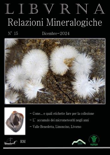 Relazioni mineralogiche. Libvrna. Vol. 15 - Marco Bonifazi - Libro Youcanprint 2024 | Libraccio.it