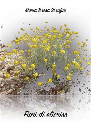Fiori di elicriso - Maria Teresa Serafini - Libro Youcanprint 2025 | Libraccio.it