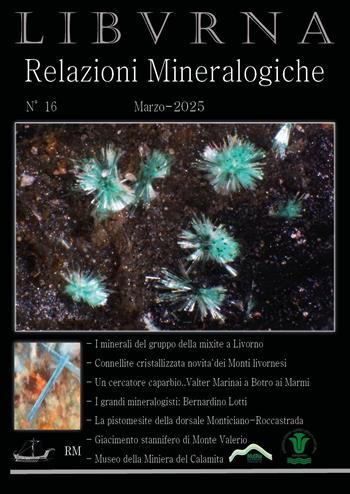 Relazioni mineralogiche. Libvrna (2025). Vol. 16 - Marco Bonifazi - Libro Youcanprint 2025 | Libraccio.it