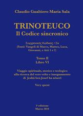 Trinoteuco. Il Codice Sincronico Kodikos Sugkhronikes - Skh (Fonti: Vangeli di Marco, Matteo, Luca, Giovanni, e Atti 1 e 2). Vol. 6/2