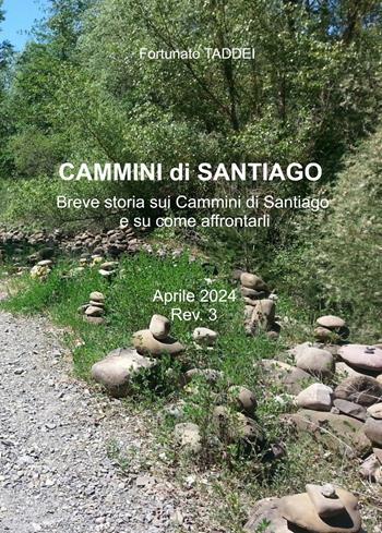 Cammini di Santiago. Breve storia sui cammini di Santiago e su come affrontarli - Fortunato Taddei - Libro ilmiolibro self publishing 2024, La community di ilmiolibro.it | Libraccio.it