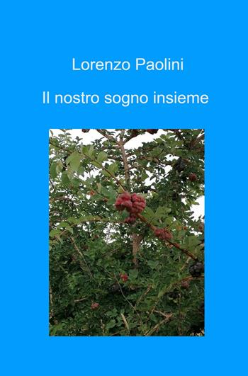 Il nostro sogno insieme - Lorenzo Paolini - Libro ilmiolibro self publishing 2024, La community di ilmiolibro.it | Libraccio.it