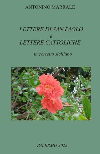 Lettere di San Paolo e lettere cattoliche in corretto siciliano - Antonino Marrale - Libro ilmiolibro self publishing 2025, La community di ilmiolibro.it | Libraccio.it