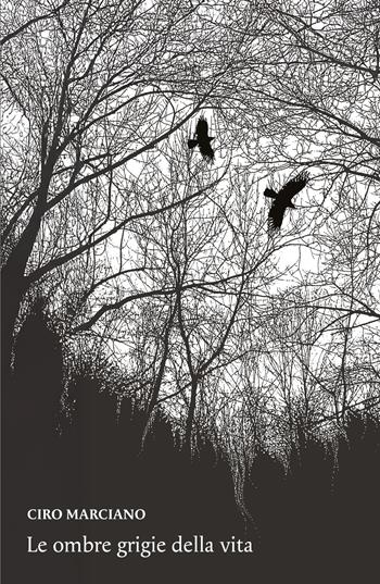Le ombre grigie della vita - Ciro Marciano - Libro ilmiolibro self publishing 2026, La community di ilmiolibro.it | Libraccio.it