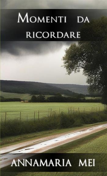Momenti da ricordare - Annamaria Mei - Libro StreetLib 2024 | Libraccio.it