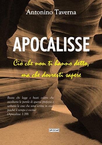 Apocalisse. Ciò che non ti hanno detto, ma che dovresti sapere - Antonino Taverna - Libro StreetLib 2024 | Libraccio.it