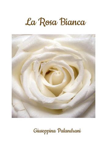 La rosa bianca - Giuseppina Palandrani - Libro StreetLib 2024 | Libraccio.it