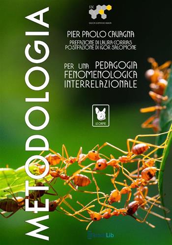 Metodologia per una pedagogia fenomenologica interrelazionale - Pier Paolo Cavagna - Libro StreetLib 2024, Le orme | Libraccio.it