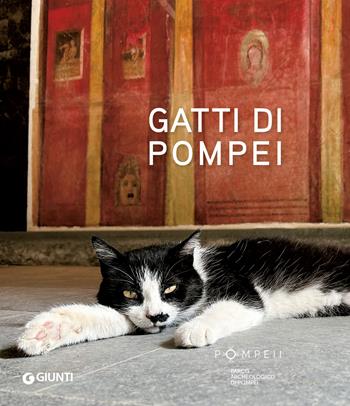 Gatti di Pompei. Ediz. illustrata - Silvia Vacca - Libro Giunti Editore 2026 | Libraccio.it