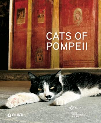 Cats of Pompeii. Ediz. illustrata - Silvia Vacca - Libro Giunti Editore 2026 | Libraccio.it