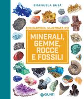 Minerali, gemme, rocce e fossili. Enciclopedia illustrata. Ediz. a colori