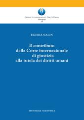 Il contributo della Corte Costituzionale di giustizia alla tutela dei diritti umani