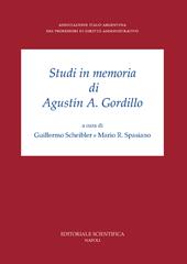 Studi in memoria di Augustín A. Gordillo