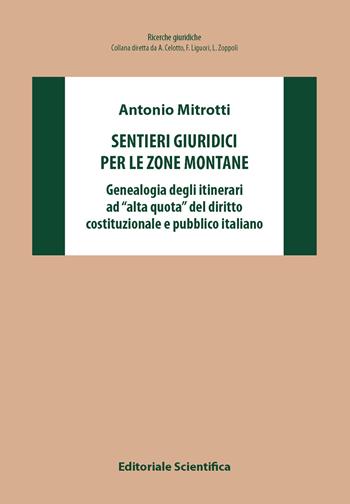 Sentieri giuridici per le zone montane. Genealogia degli itinerari ad «alta quota» del diritto costituzionale e pubblico italiano - Antonio Mitrotti - Libro Editoriale Scientifica 2025, Ricerche giuridiche. Nuovissima serie | Libraccio.it