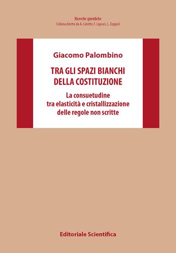 Tra gli spazi bianchi della Costituzione. La consuetudine tra elasticità e cristallizzazione delle regole non scritte - Giacomo Palombino - Libro Editoriale Scientifica 2025, Ricerche giuridiche. Nuovissima serie | Libraccio.it