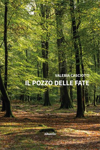 Il pozzo delle fate - Valeria Casciotti - Libro Gruppo Albatros Il Filo 2024, Nuove voci. Strade | Libraccio.it