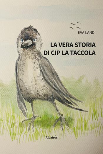 La vera storia di Cip la taccola - Eva Landi - Libro Gruppo Albatros Il Filo 2025, Nuove voci. Strade | Libraccio.it