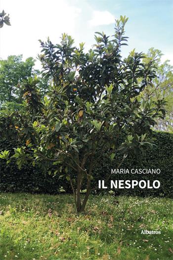 Il nespolo - Maria Casciano - Libro Gruppo Albatros Il Filo 2025, Nuove voci. Strade | Libraccio.it