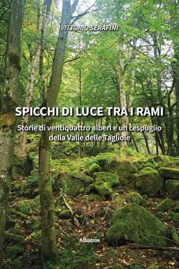 Spicchi di luce tra i rami. Storie di ventiquattro alberi e un cespuglio della Valle delle Tagliole - Vittorio Serafini - Libro Gruppo Albatros Il Filo 2025, Nuove voci. Strade | Libraccio.it