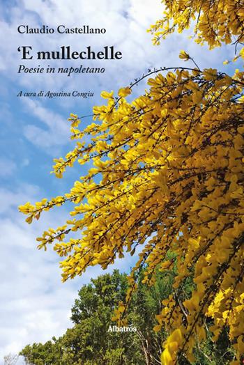 ‘E mullechelle. Poesie in napoletano - Claudio Castellano - Libro Gruppo Albatros Il Filo 2025, Nuove voci. Le piume | Libraccio.it