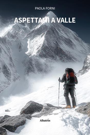 Aspettami a valle - Paola Forni - Libro Gruppo Albatros Il Filo 2025, Nuove voci. Strade | Libraccio.it