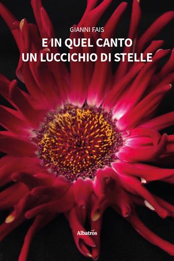 E in quel canto un luccichio - Gianni Fais - Libro Gruppo Albatros Il Filo 2026, Nuove voci. Strade | Libraccio.it