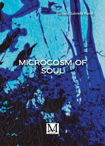 Microcosm of soul - Barbara Gabriella Renzi - Libro StreetLib 2025 | Libraccio.it
