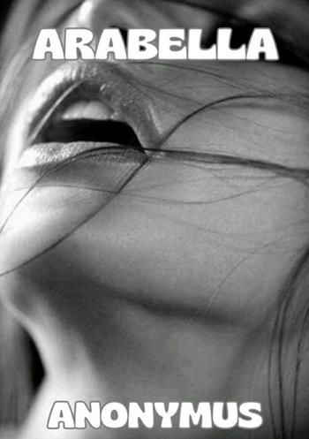 Arabella. Ediz. tedesca - Anonymus - Libro StreetLib 2025 | Libraccio.it