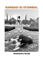 Randagi di Istanbul