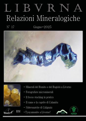 Relazioni mineralogiche. Libvrna (2025). Vol. 17 - Marco Bonifazi - Libro Youcanprint 2025 | Libraccio.it