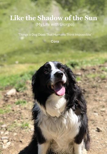 Like the shadow of the sun (My life with Giorgio) - Cora - Libro Youcanprint 2025 | Libraccio.it