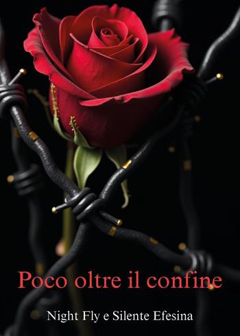 Poco oltre il confine - Night Fly, Silente Efesina - Libro Youcanprint 2025 | Libraccio.it