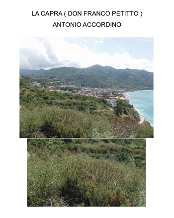 La capra (Don Franco Petitto) - Antonio Accordino - Libro Youcanprint 2025 | Libraccio.it