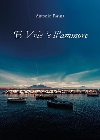 'E vvie 'e ll'ammore - Antonio Farina - Libro Youcanprint 2025 | Libraccio.it