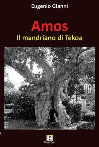 Amos. Il mandriano di Tekoa - Eugenio Giannì - Libro Youcanprint 2025 | Libraccio.it
