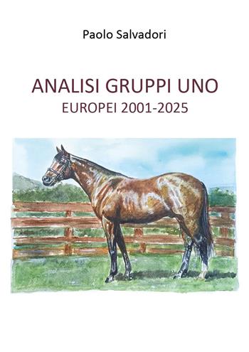 Analisi Gruppi Uno Europei 2001-2025 - Paolo Salvadori - Libro Youcanprint 2026 | Libraccio.it