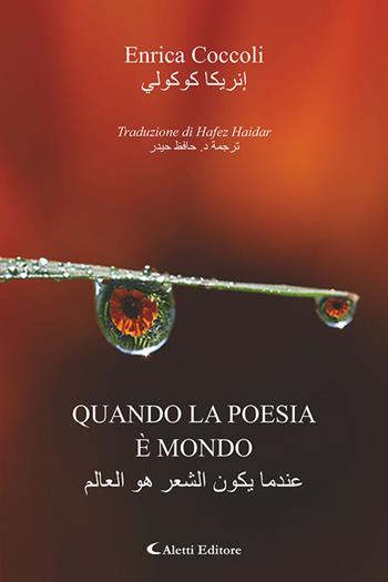 Quando la poesia è mondo. Ediz. italiana e araba - Enrica Coccoli - Libro Aletti editore 2025, Altre frontiere | Libraccio.it