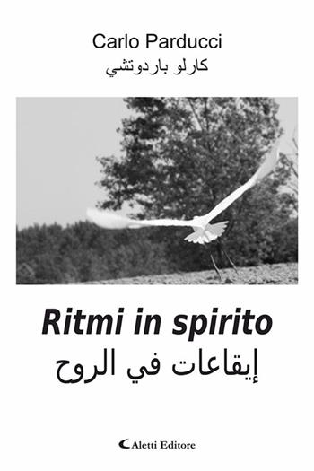 Ritmi in spirito. Ediz. italiana e araba - Carlo Parducci - Libro Aletti editore 2026, Altre frontiere | Libraccio.it