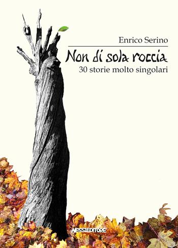 Non di sola roccia. 30 storie molto singolari - Enrico Serino - Libro Autopubblicato 2026 | Libraccio.it