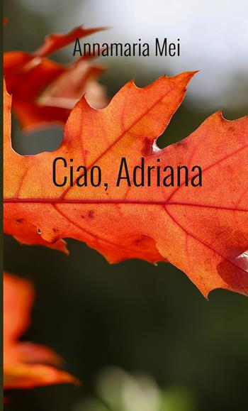 Ciao, Adriana - Annamaria Mei - Libro StreetLib 2026 | Libraccio.it