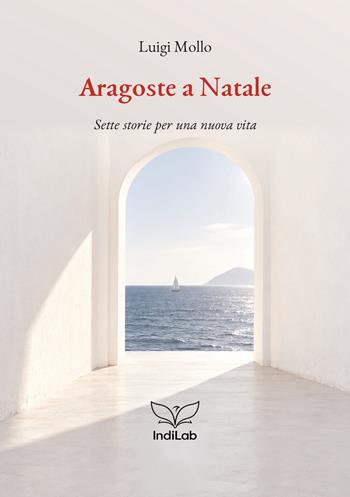 Aragoste a Natale. Sette storie per una nuova vita - Luigi Mollo - Libro StreetLib 2026 | Libraccio.it