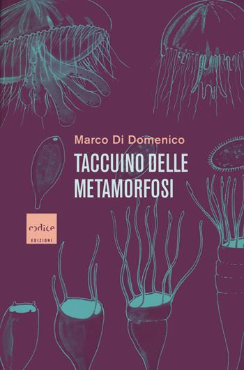Taccuino delle metamorfosi - Marco Di Domenico - Libro Codice 2022 | Libraccio.it