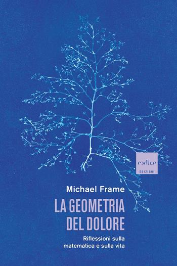 La geometria del dolore. Riflessioni sulla matematica e sulla vita - Michael Frame - Libro Codice 2022 | Libraccio.it
