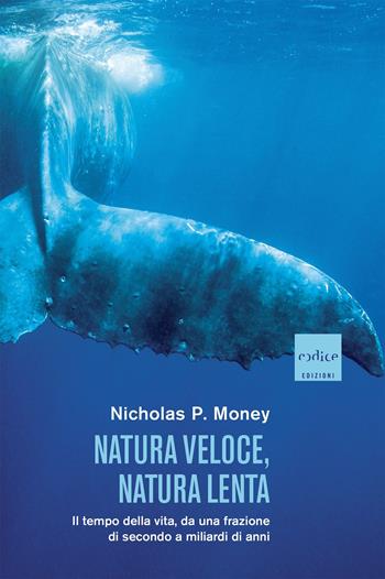 Natura veloce, natura lenta. Il tempo della vita, da una frazione di secondo a miliardi di anni - Nicholas P. Money - Libro Codice 2022 | Libraccio.it