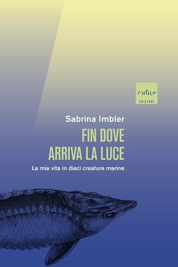 Fin dove arriva la luce. La mia vita in dieci creature marine - Sabrina Imbler - Libro Codice 2023 | Libraccio.it