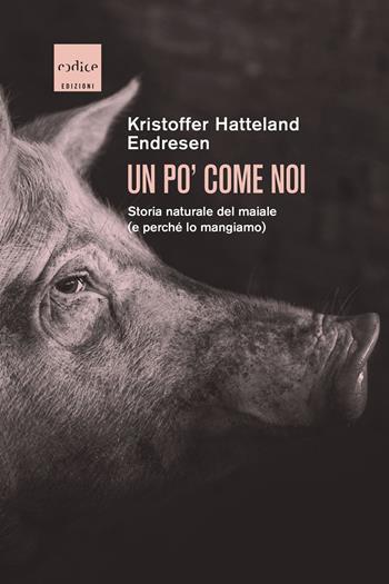Un po' come noi. Storia naturale del maiale (e perché lo mangiamo) - Kristoffer Hatteland Endresen - Libro Codice 2024 | Libraccio.it